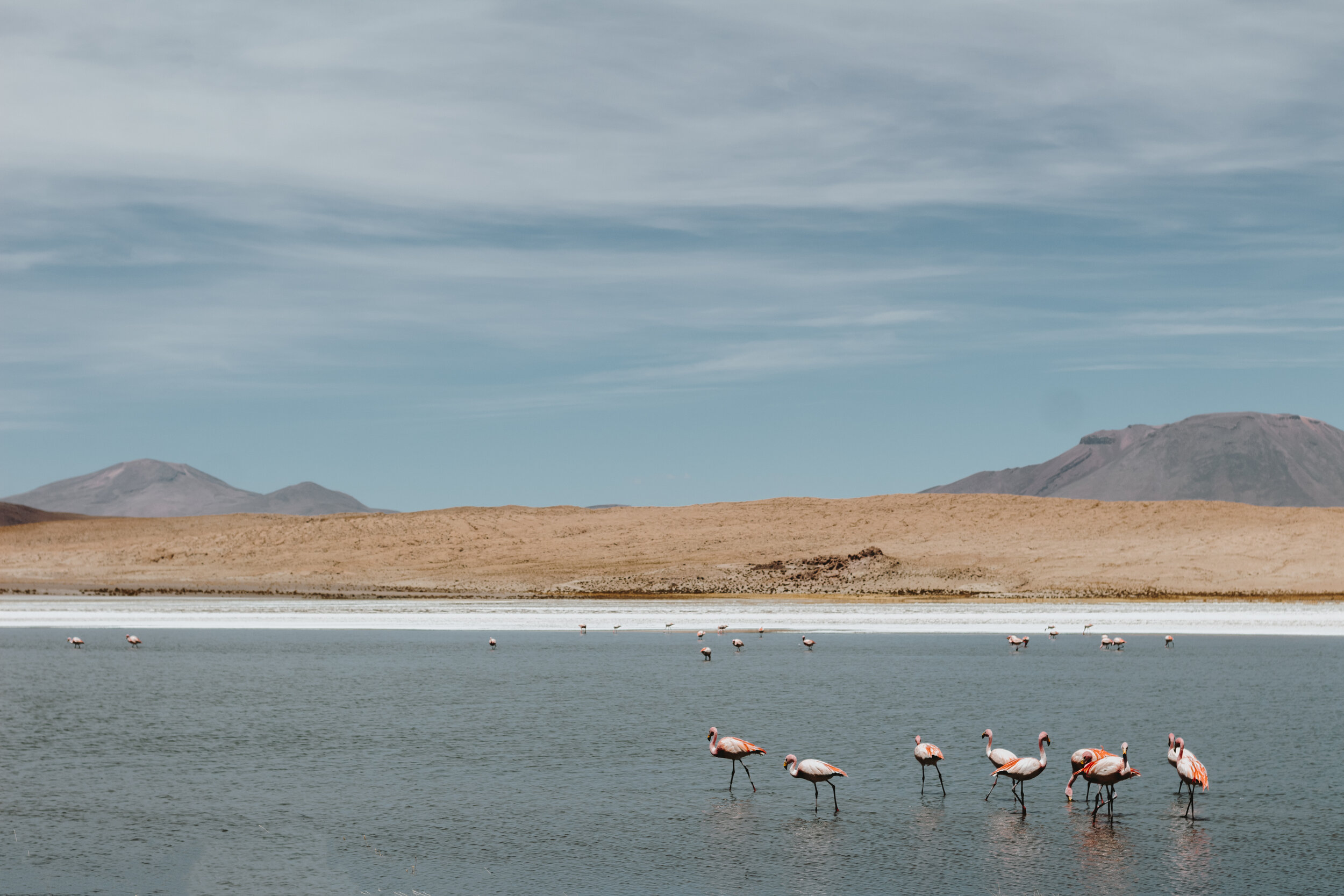 gf_uyuni-38.JPG