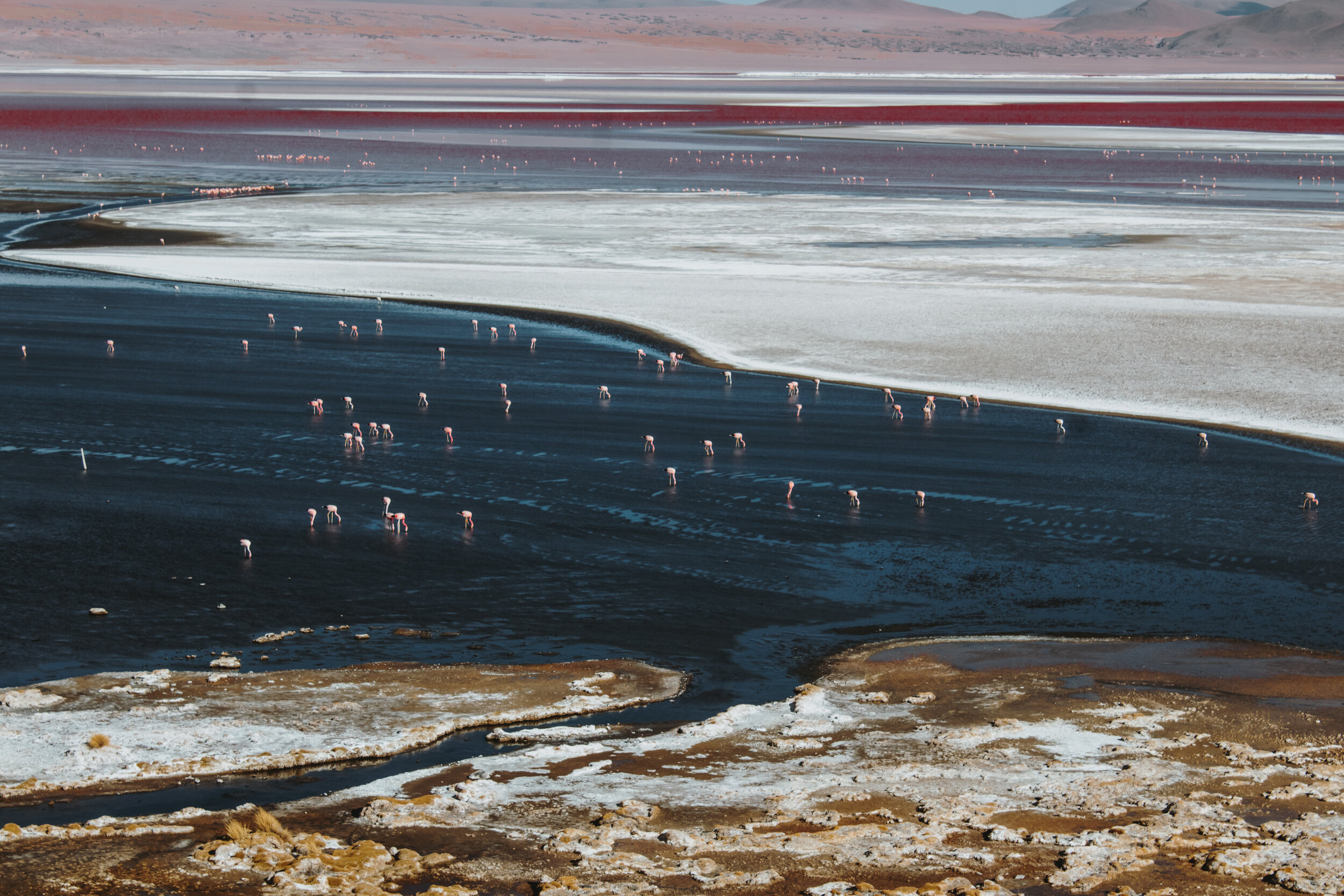 gf_uyuni-52.JPG