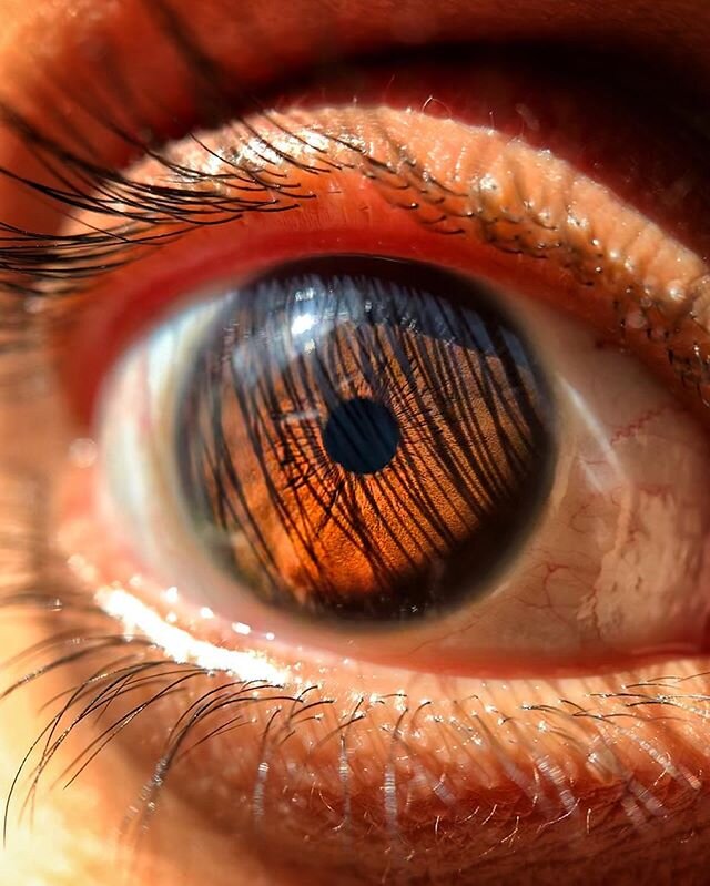 Fire eye👁. Stay home make stories. .
.
.
#humaneye #macroshot #depth #somanythingstolearn #nextsubject #moretocome #wifeyeyes #shotoniphone #momentlens #pupils #brown #snapseededits #sunlight #fascinatingworlds #explore #fearinfusing #bright #stayho