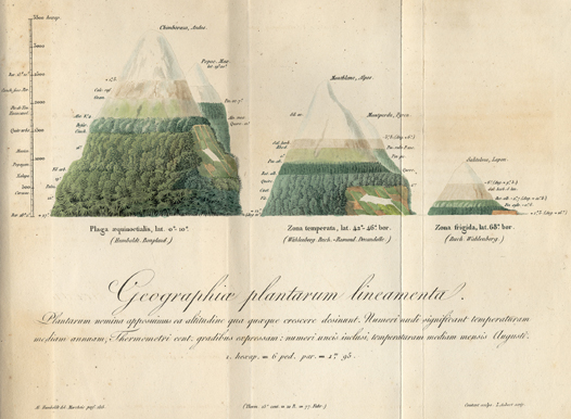 sA.07_-_Geographica_plantarum_-_QO1.jpg