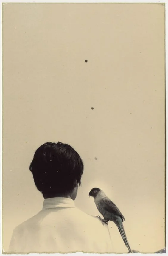 1998, Masao Yamamoto, A box of KU.jpg