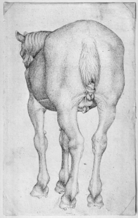 1430s, Pisanello.jpg