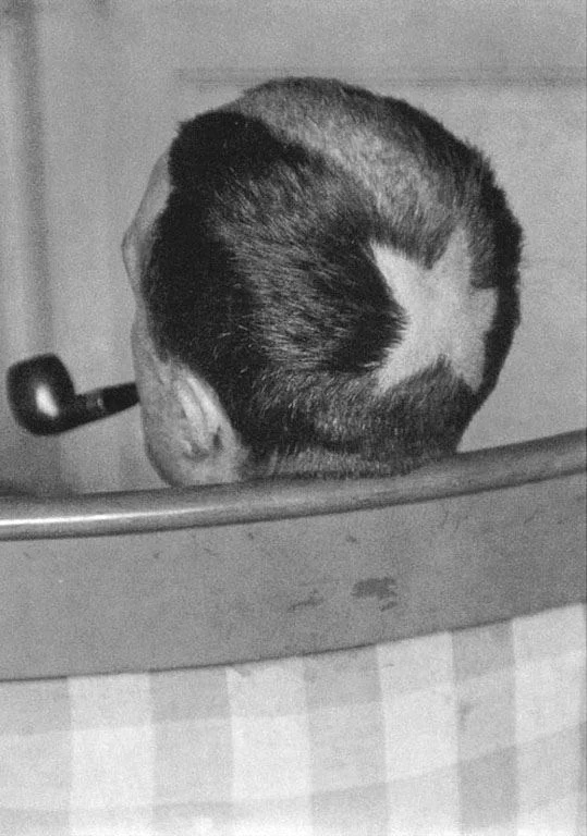 1919, ManRay, Tonsure de Duchamp.jpg