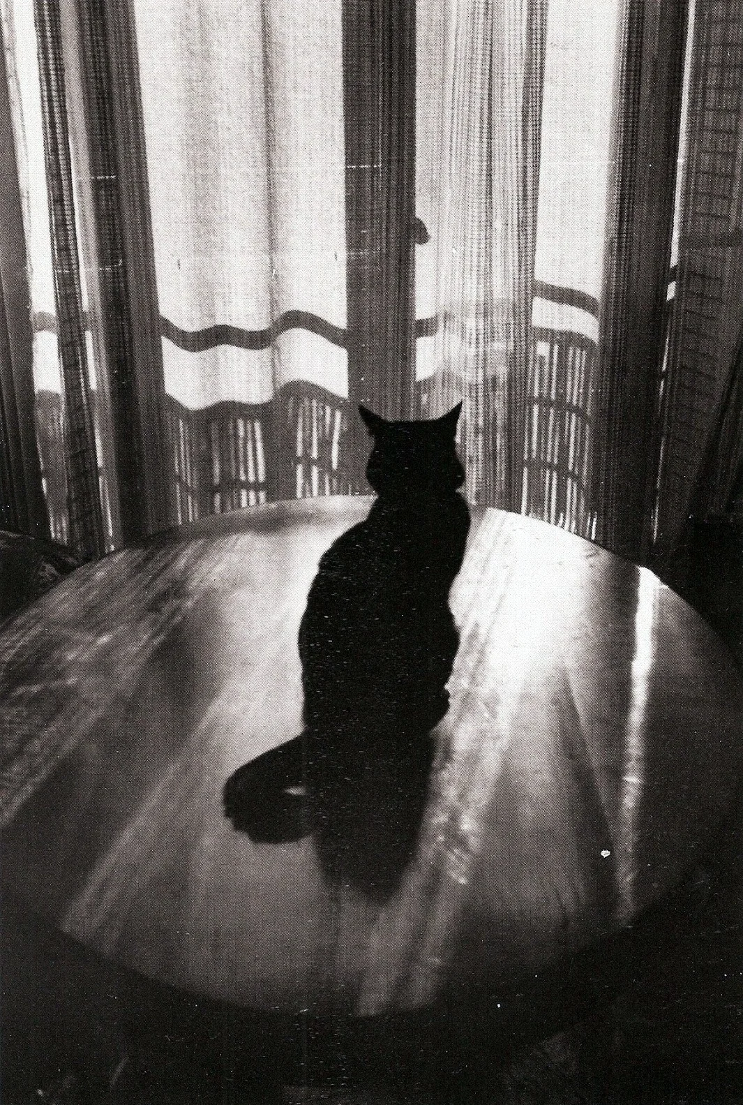 1986, Edouard Boubat, Paris.jpg