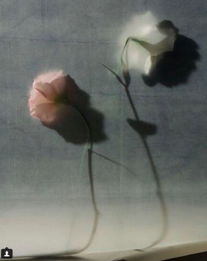 2014, Matthieu Lavanchy.png