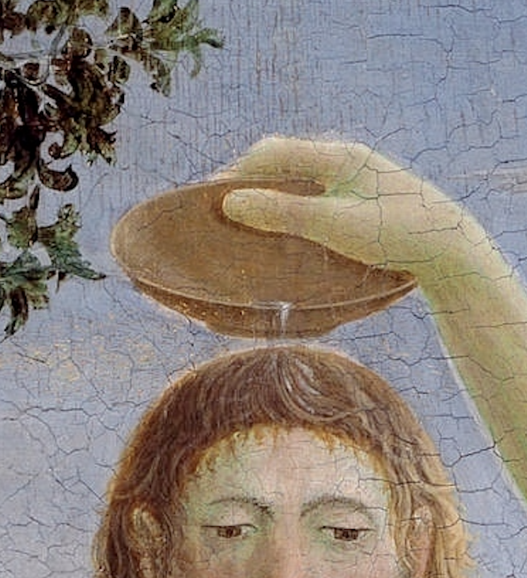 Screenshot 2024-11-21 alle 12.46.50.png