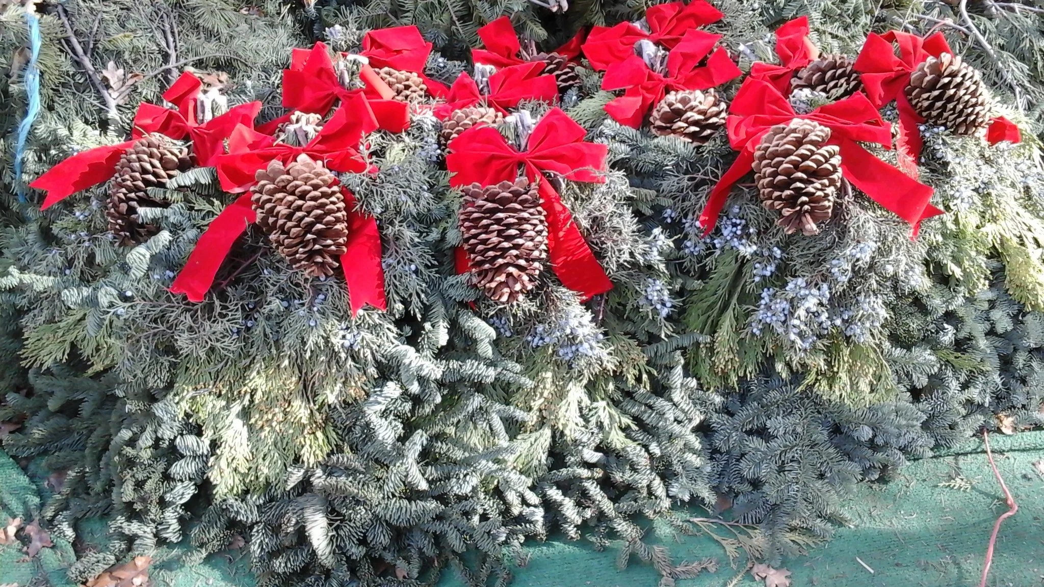 Aibonito Evergreens