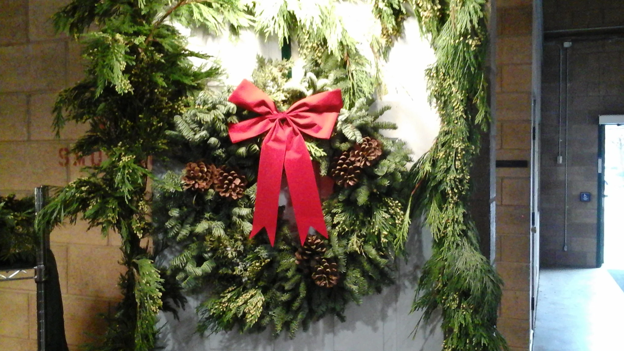 Aibonito Evergreens