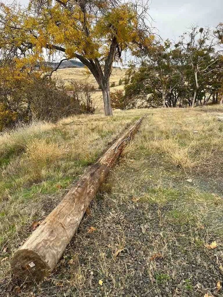 20 ft telephone pole