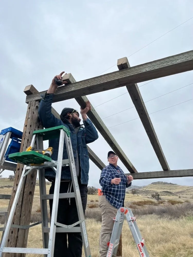 two people on ladders setting crossbeams