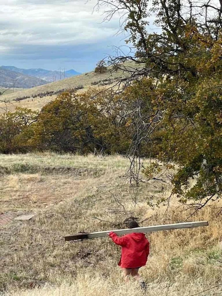 person in a red coat carrying a long fence post down a hill