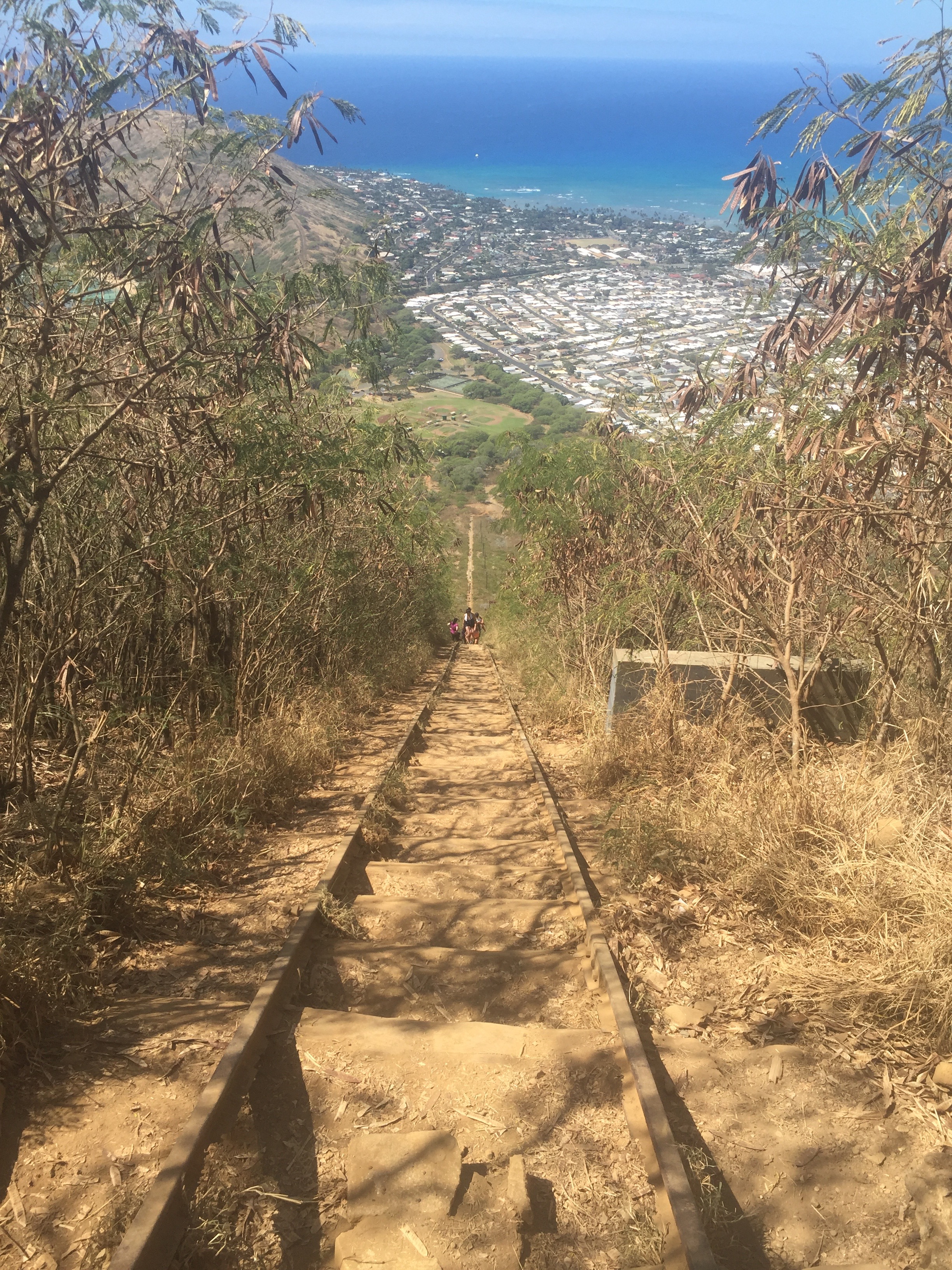 "Do not follow where the path may lead. Go instead where there is no path and leave a trail..." Ralph Waldo Emerson
