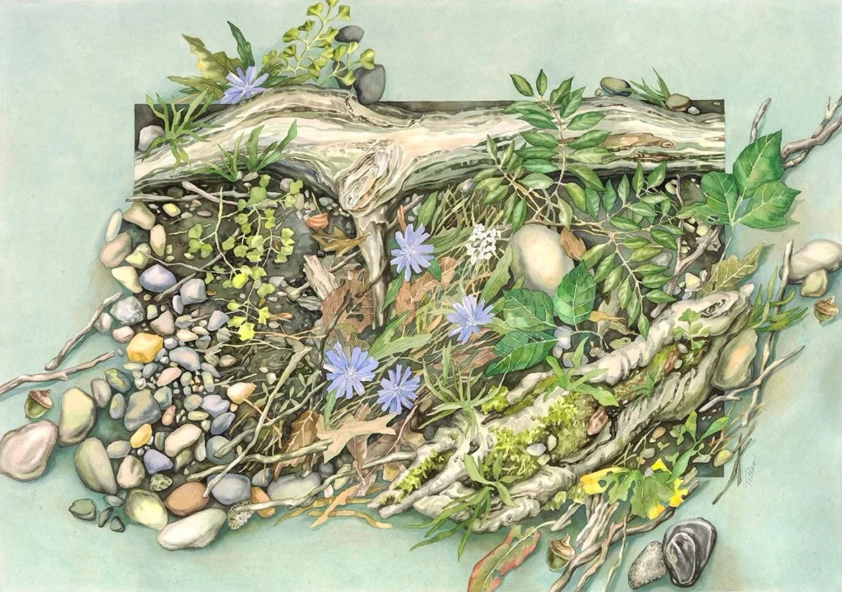 Four Seasons: Summer