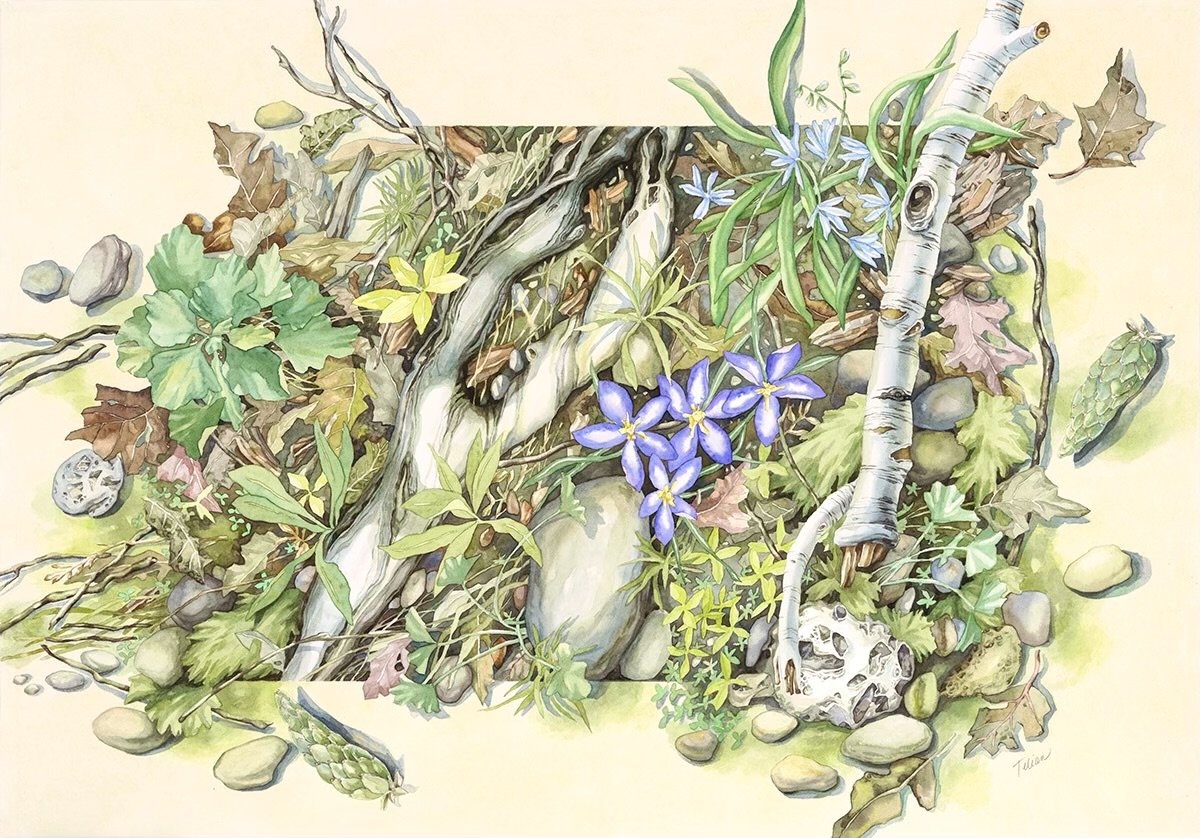 Four Seasons: Spring