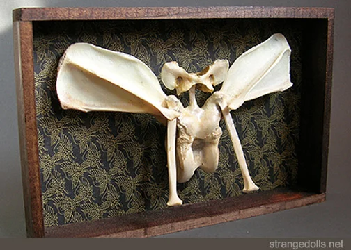 bonesculpture2a.jpg