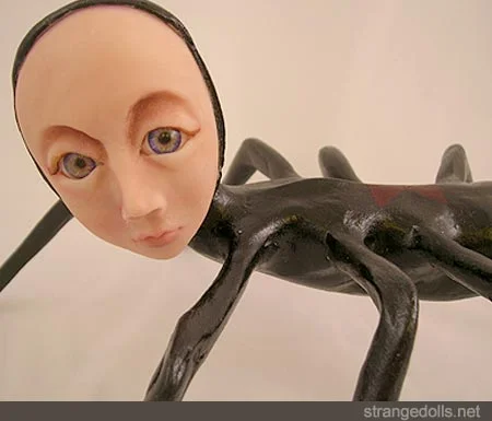 Spider
