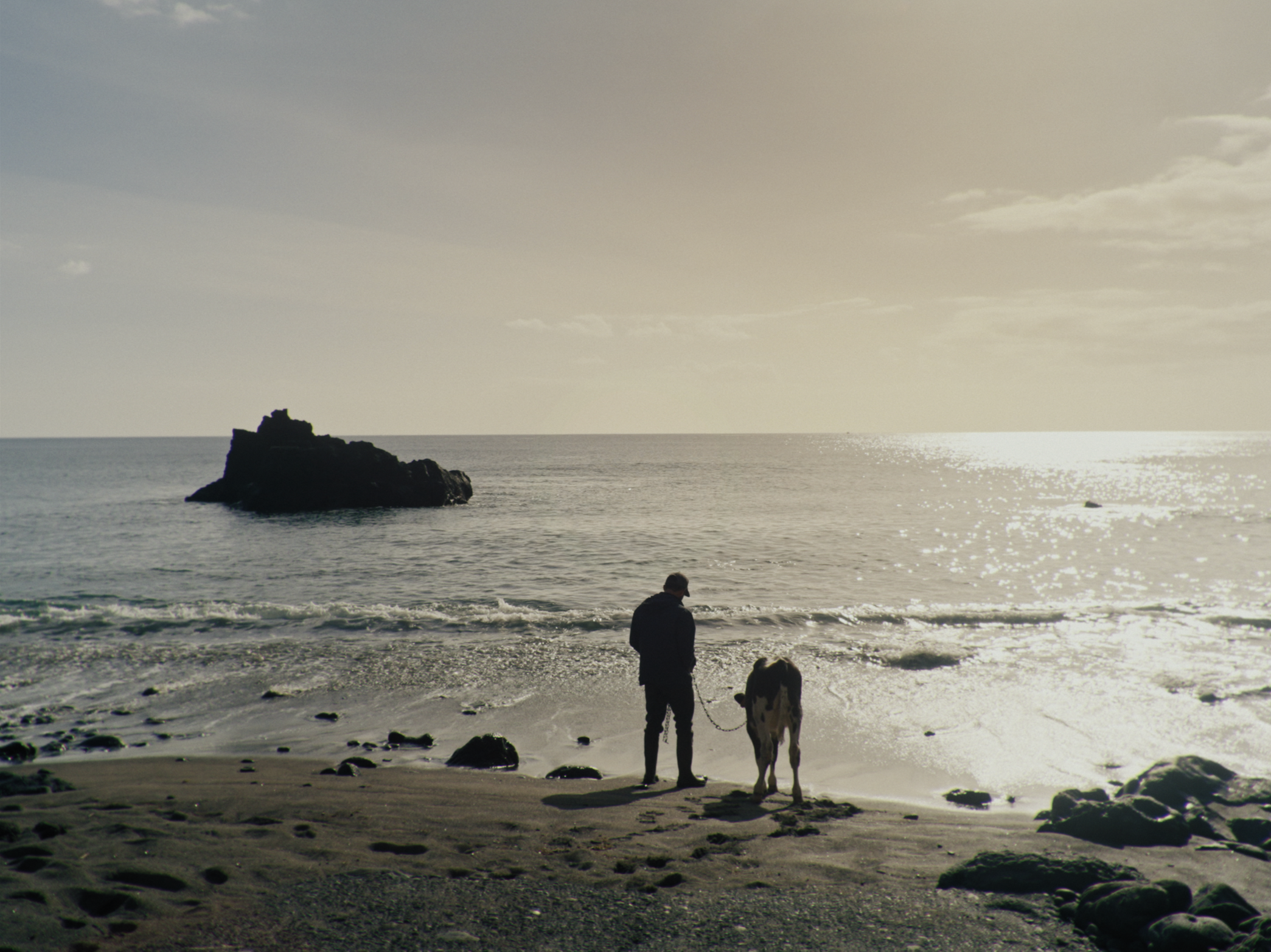 Lola Dreams of the Sea (Coming Soon)