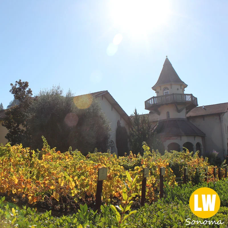 chateau_st_jean_winery.jpg