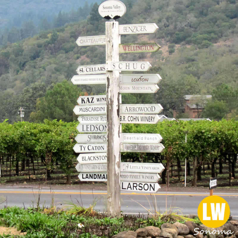 Sonoma outlet valley winery