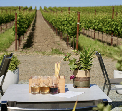 Tasting in the vineyards at Cuvaison Winery