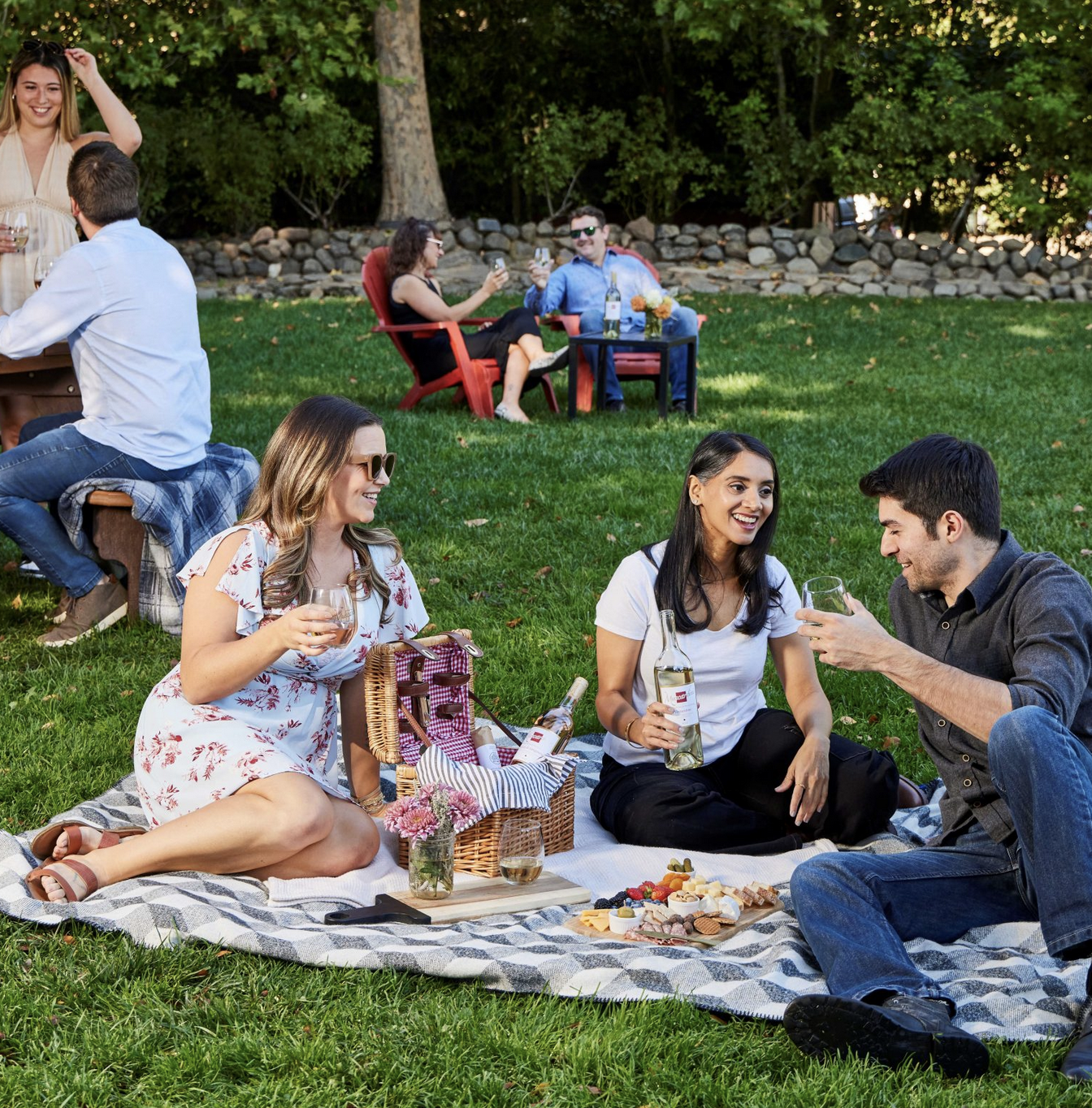 Picnic at Muscardini Winery in Sonoma