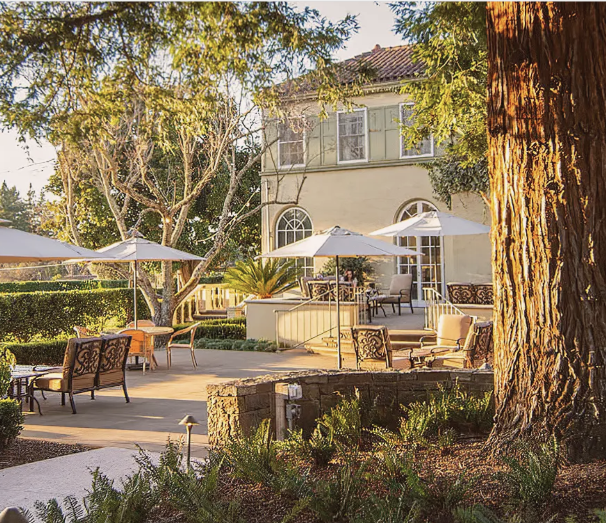 Chateau St. Jean Winery in Sonoma