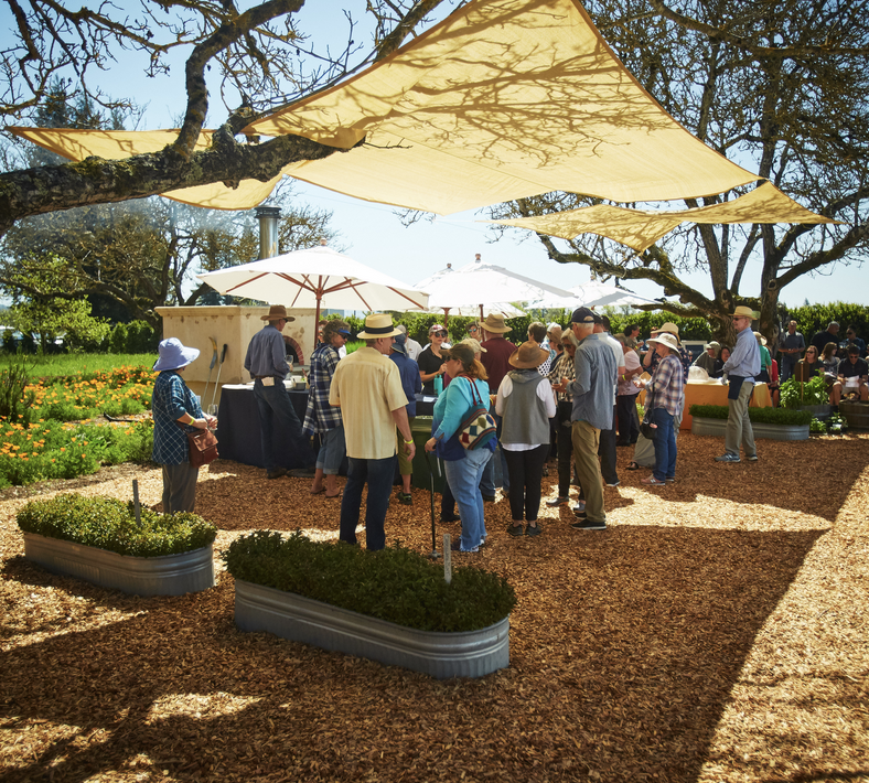 Garden at Kendall-Jackson Winery