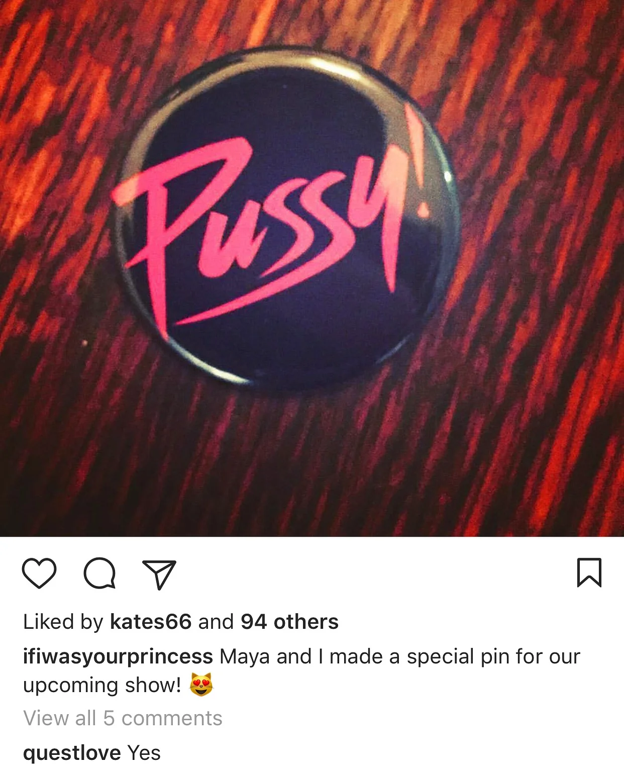 THE PUSSY PIN (2016)