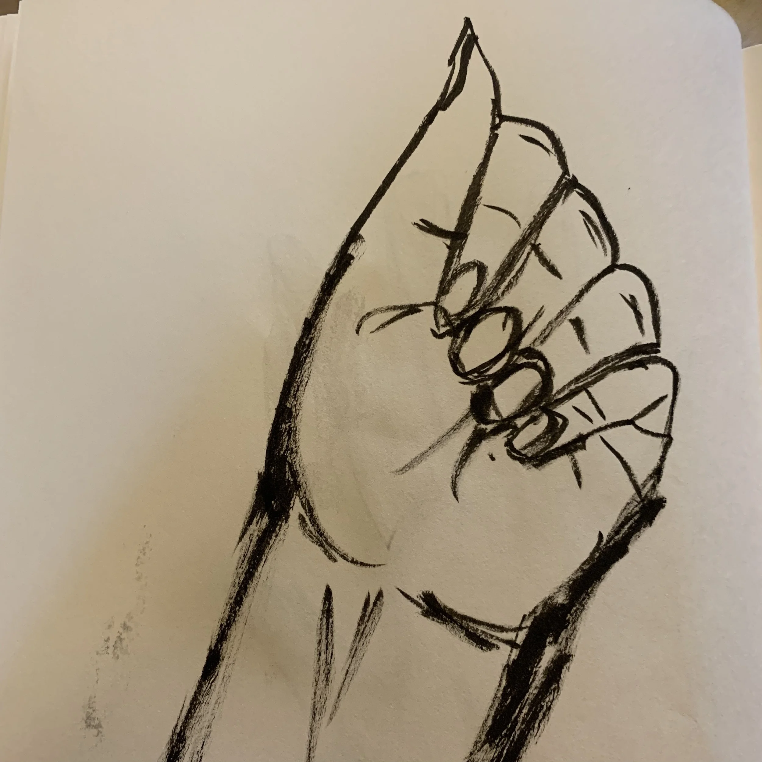 Evidently this is the only shape my left hand can make.