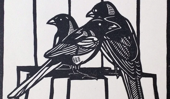 Birds.jpg