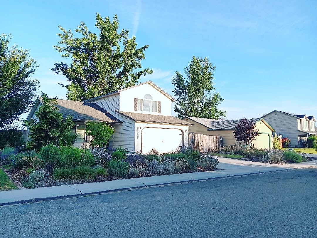 A little peek of the front. This photo really does not do justice. I may not have my rows of zinnias in the front this year, but these flower beds on both sides of the driveway are completely packed with flowers. The majority are perennials, so every