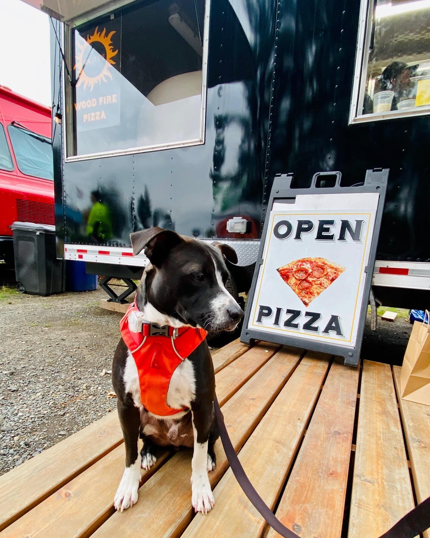 Boba Fett Dog Boy says: &ldquo;There&rsquo;s a break in the rain, let&rsquo;s walk the trail to the pizza truck!&rdquo; 🐶🍕🚚⁣
⁣
𝘖𝘳𝘥𝘦𝘳 𝘢𝘩𝘦𝘢𝘥 𝘰𝘯𝘭𝘪𝘯𝘦! ⁣
⁣
https://www.toasttab.com/solstice-wood-fire-pizza-food-truck-hood-river-heights/