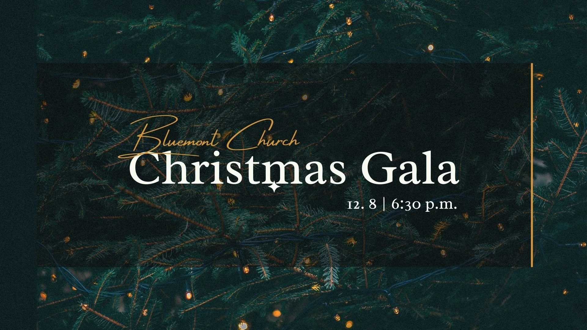 Bluemont Christmas Gala