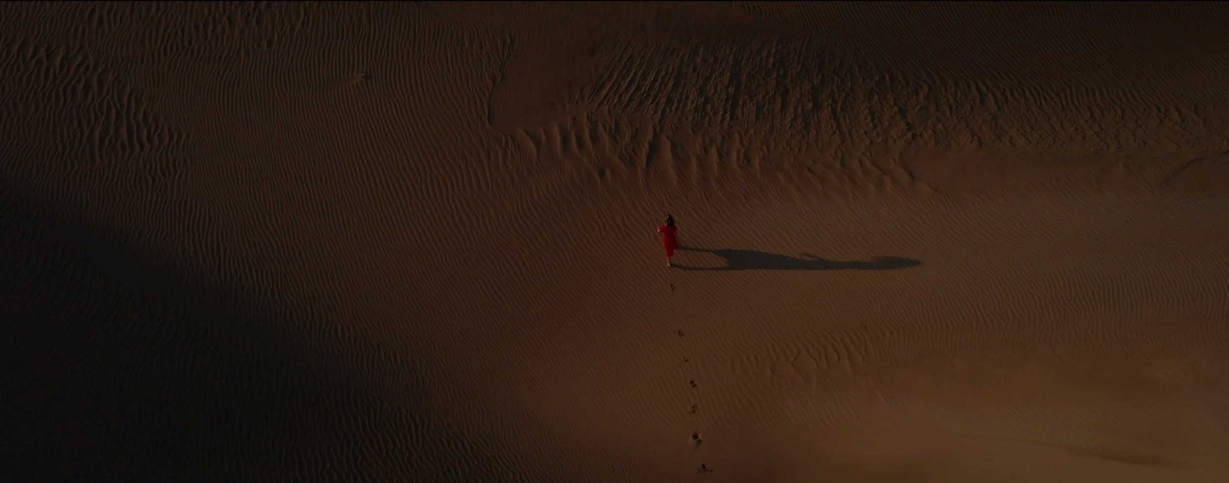 Screen Shot 2019-05-23 at 7.37.04 PM.jpeg