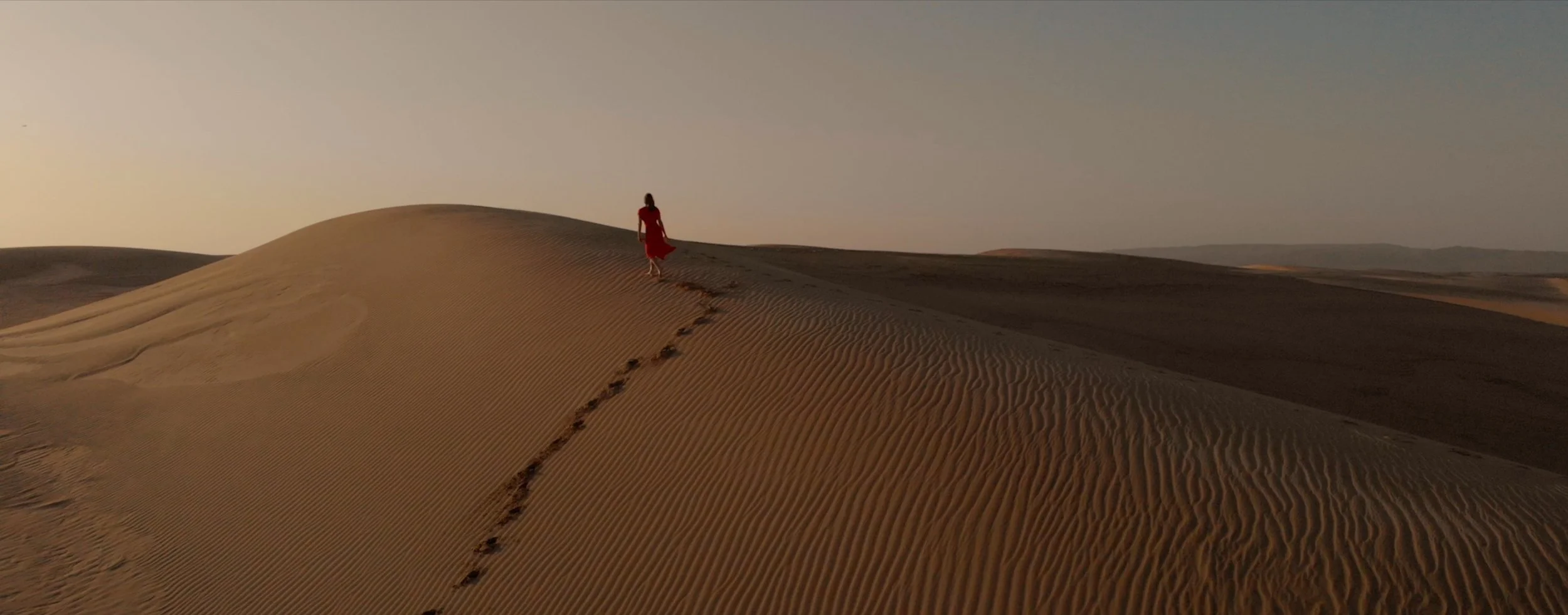 Screen Shot 2019-05-23 at 7.38.02 PM.jpeg