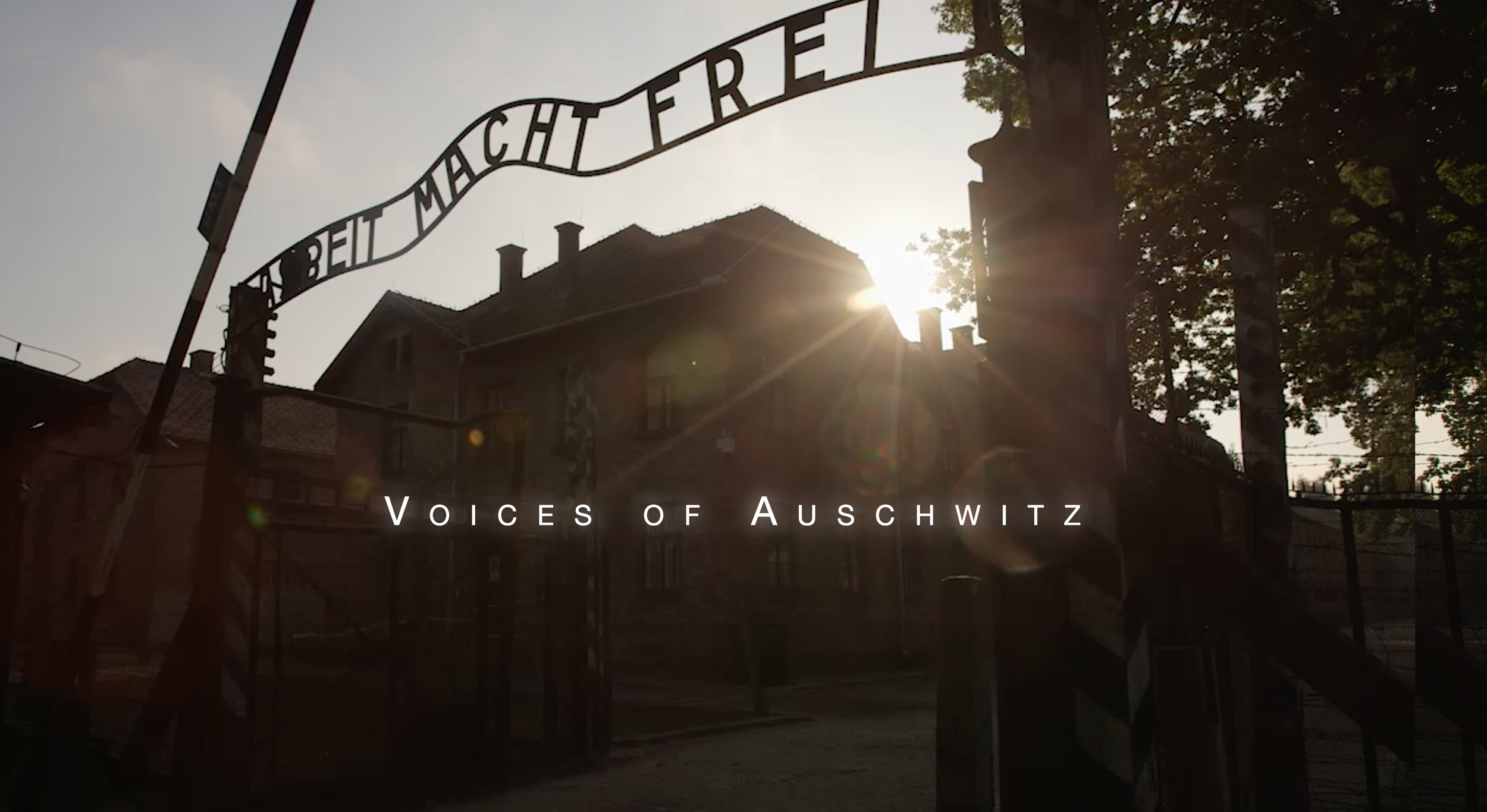 Voices of Auschwitz 