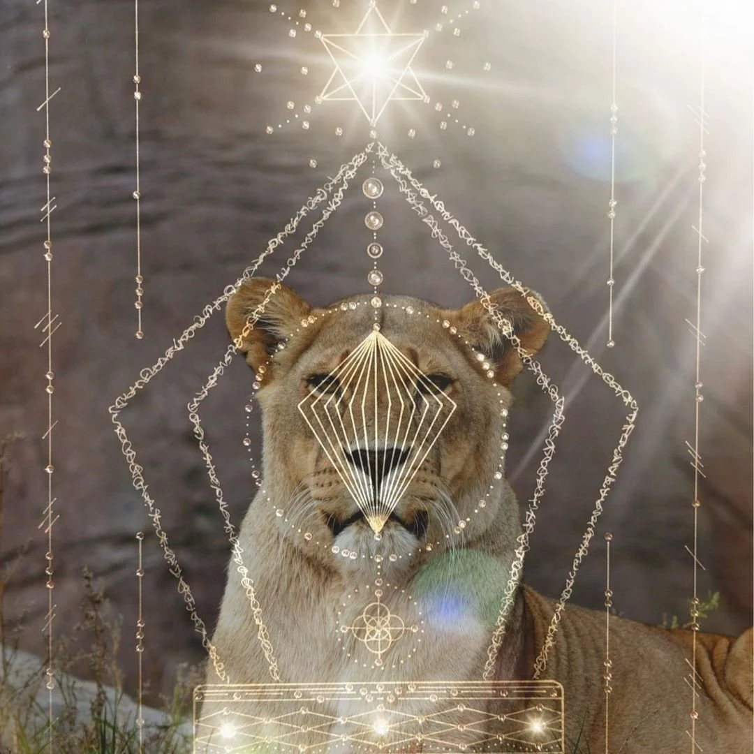 Ecstatic Dance: Lions Gate Portal