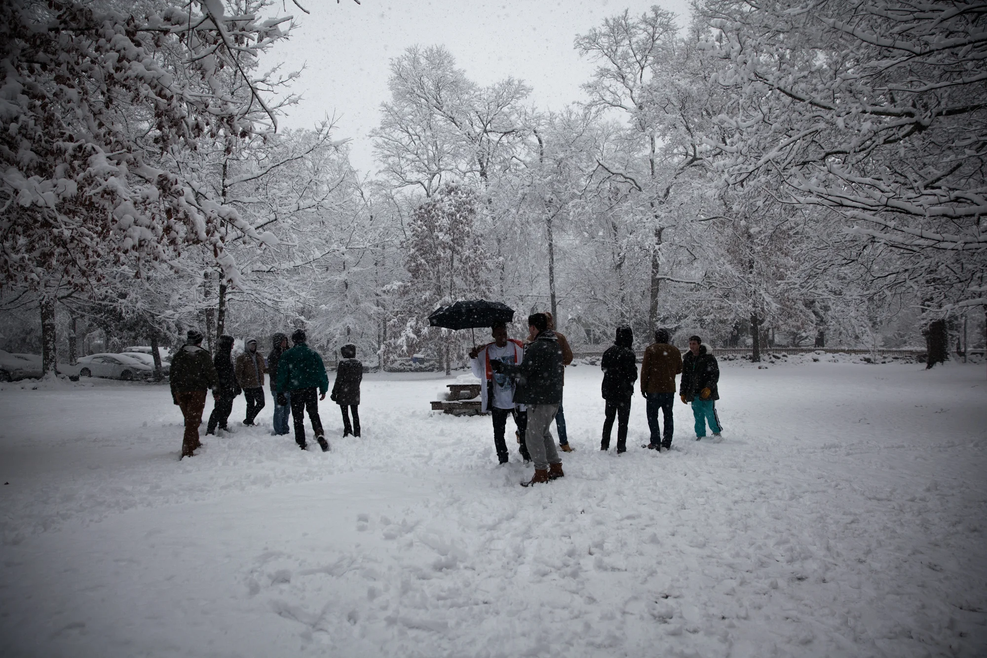 the 2018 snow day at 321 west cameron avenue