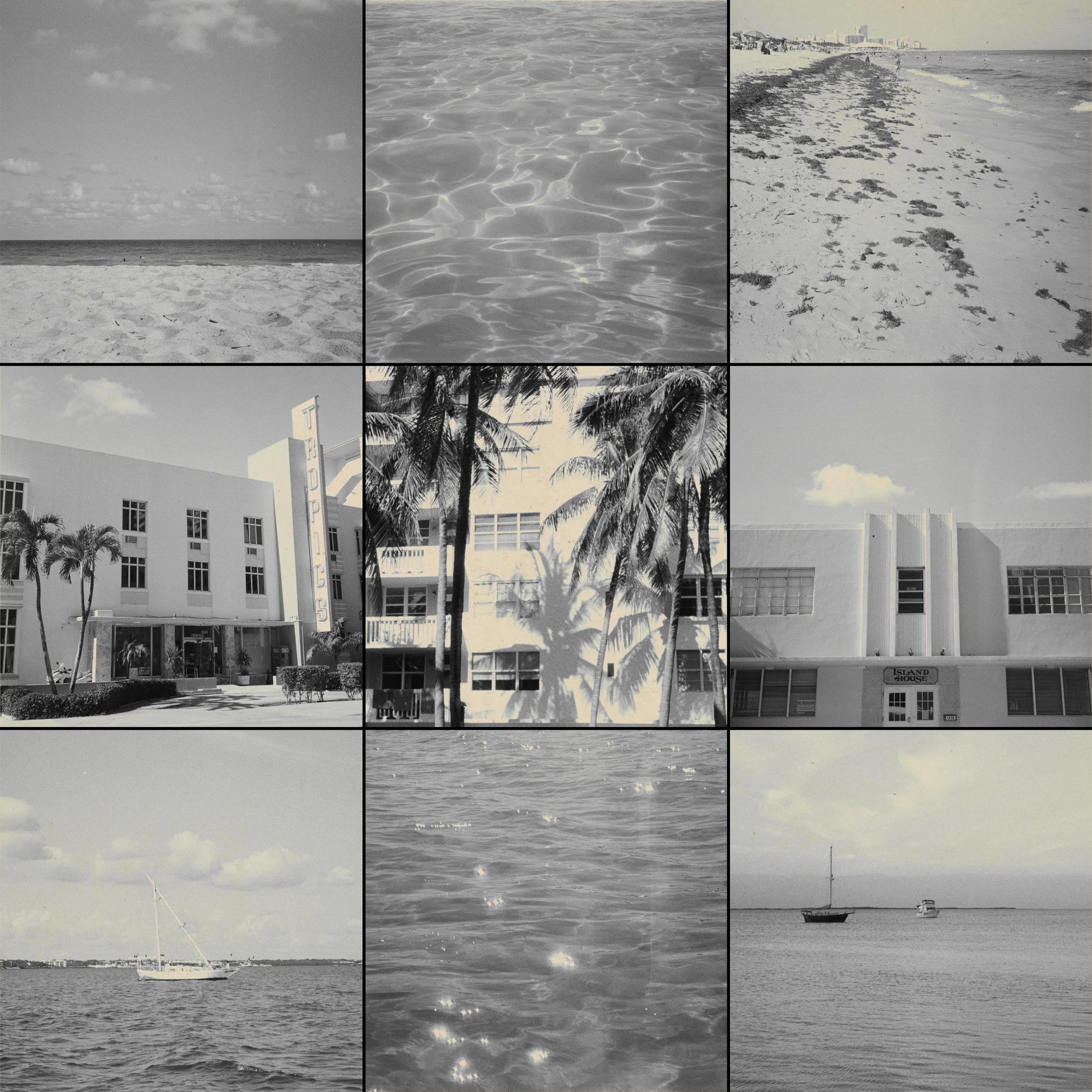 re-encountering the tropics-02.JPG