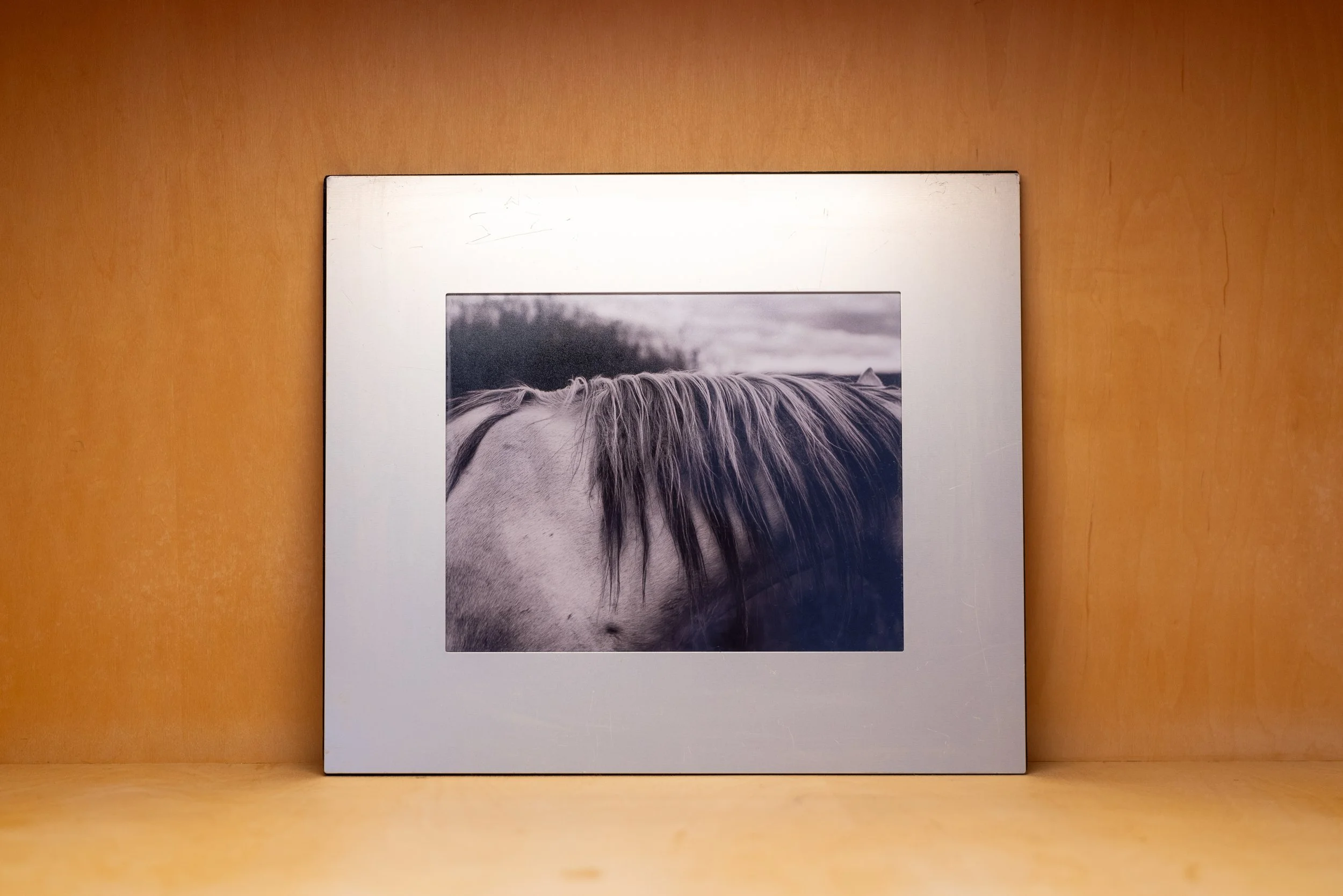My Mane Girl – Framed Print Collection 08