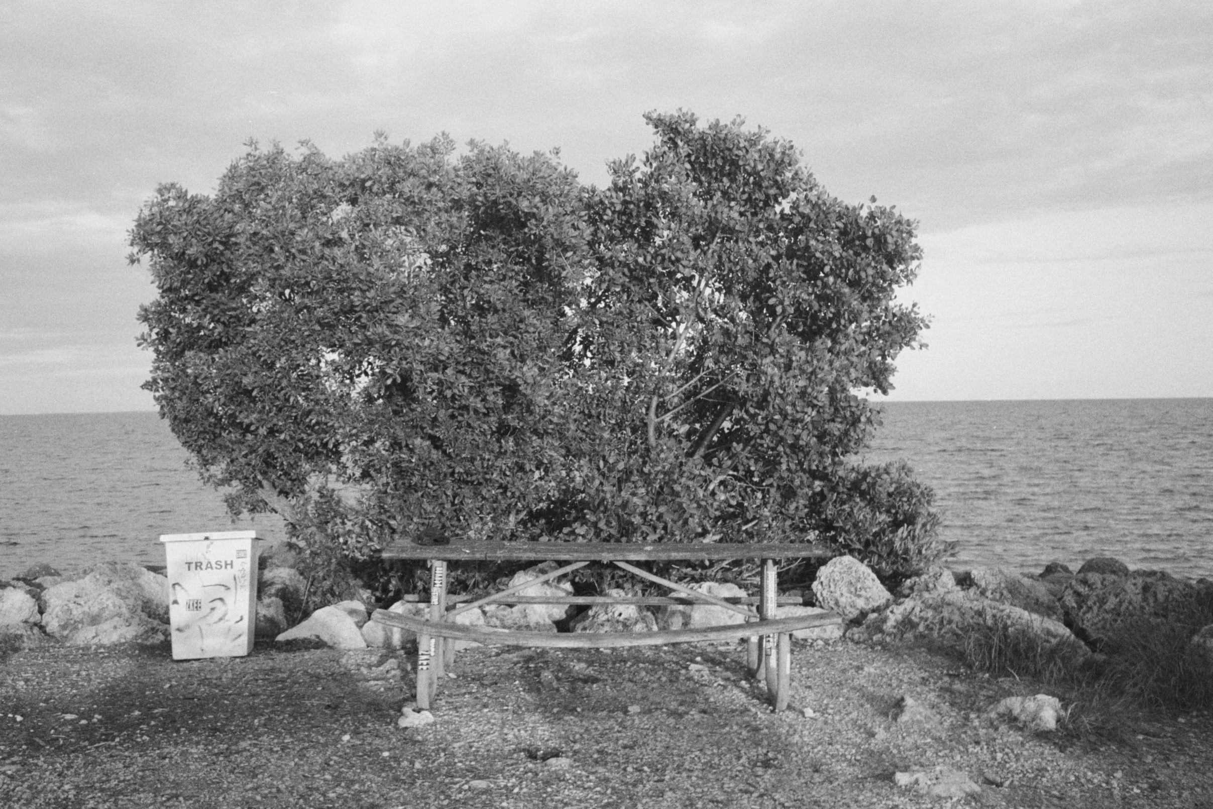 tropics-03.jpg