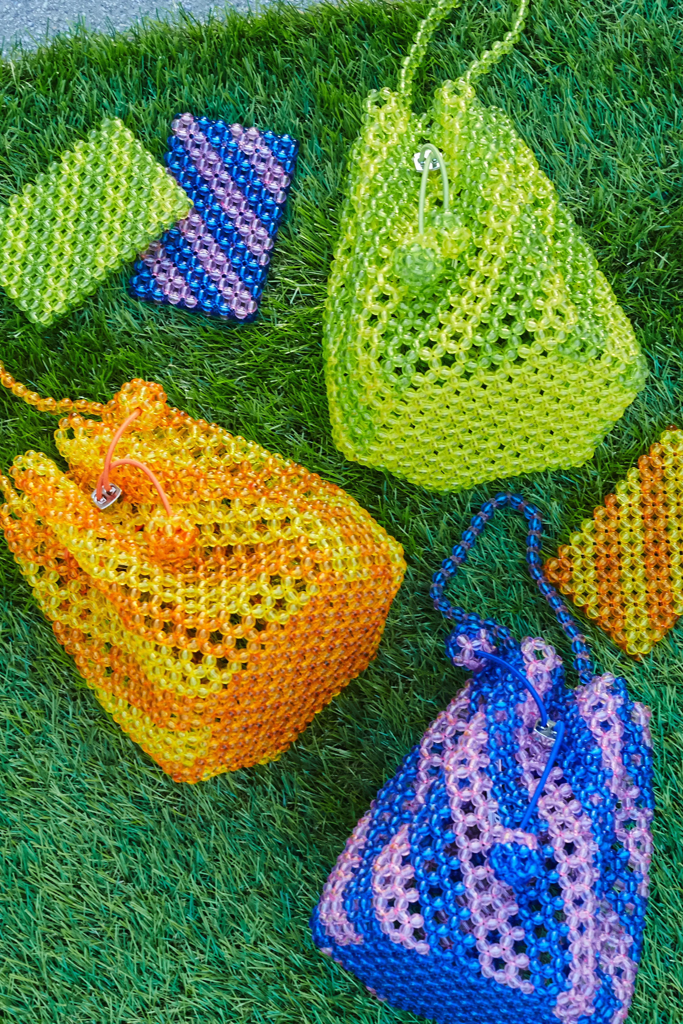 TULIPA IN GREEN-YELLOW STRIPES