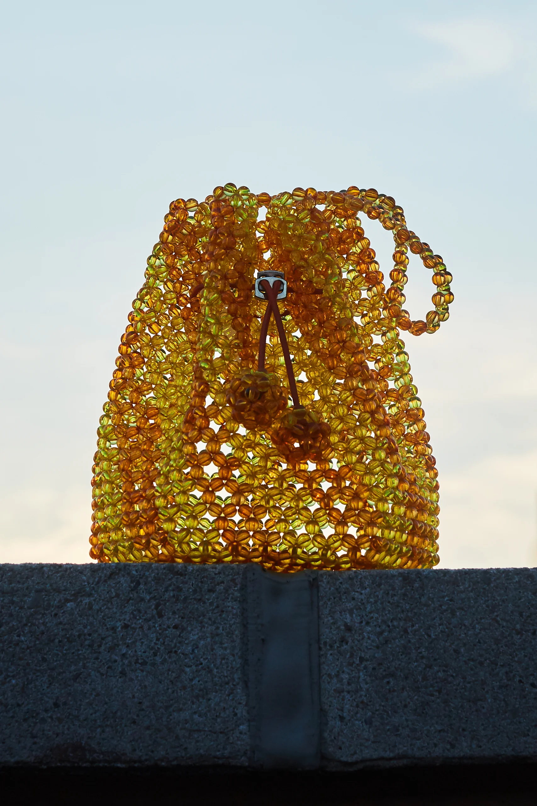 TULIPA IN ORANGE-YELLOW STRIPE