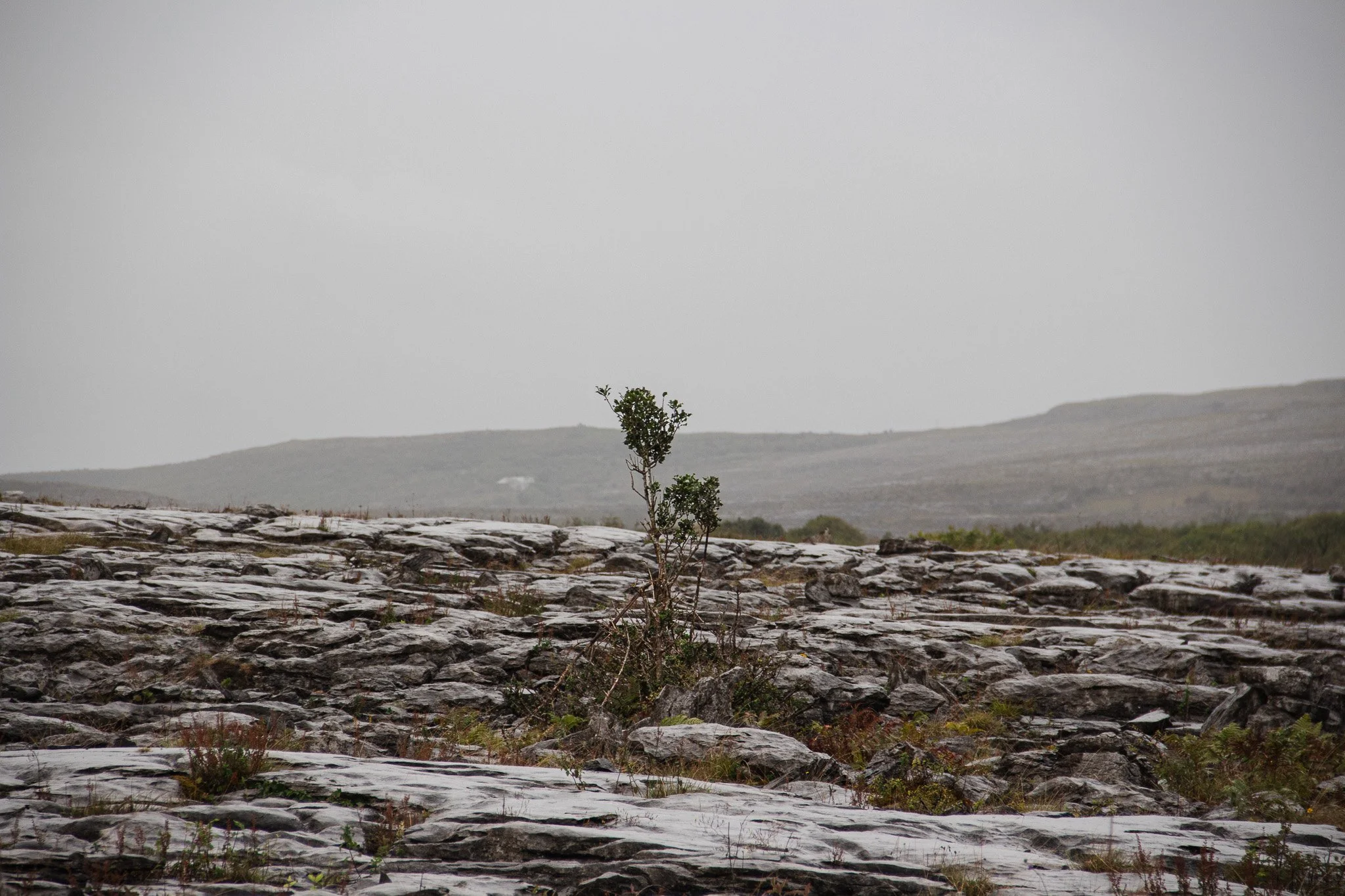  County Clare, Ireland 