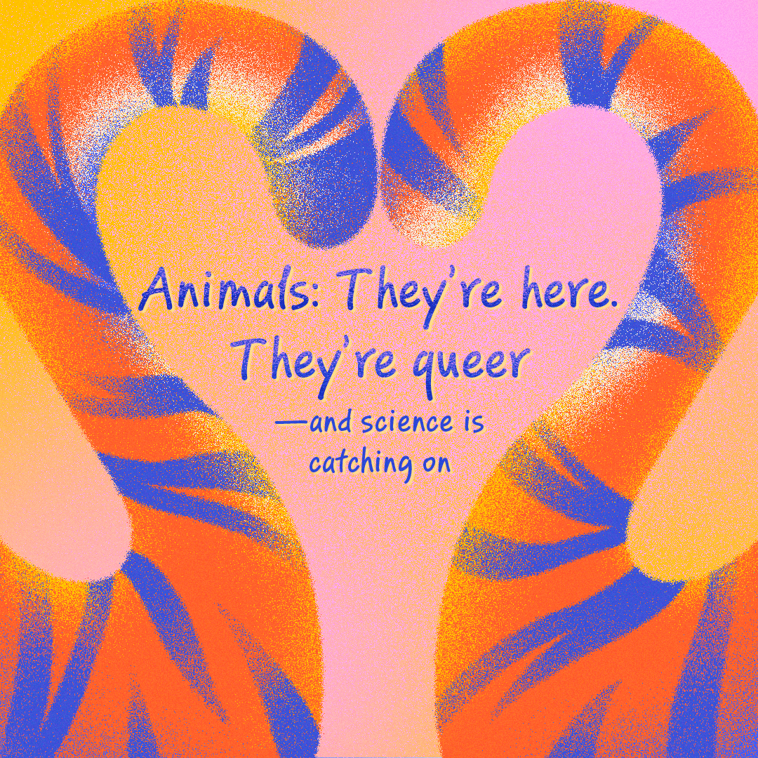 Panel 0 Title card.png