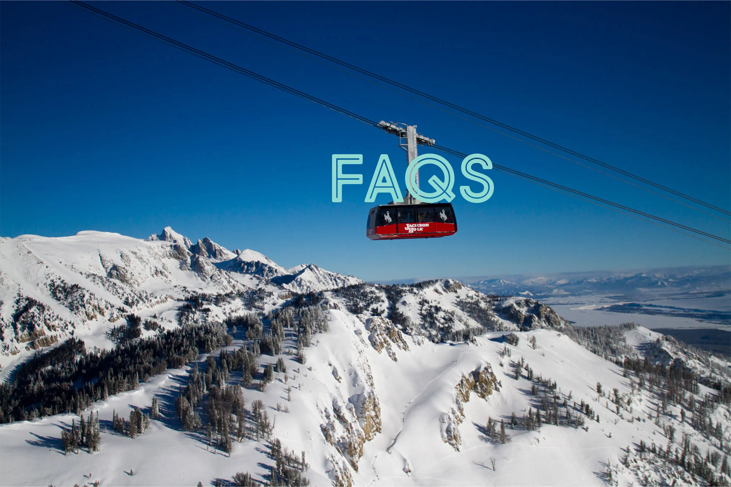FAQ-WinterFest.jpg