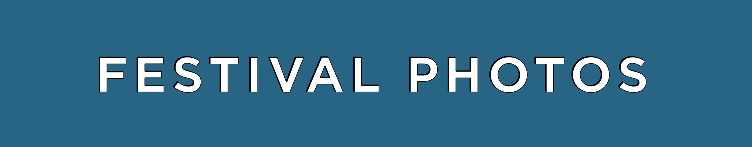 festivalphotos.png