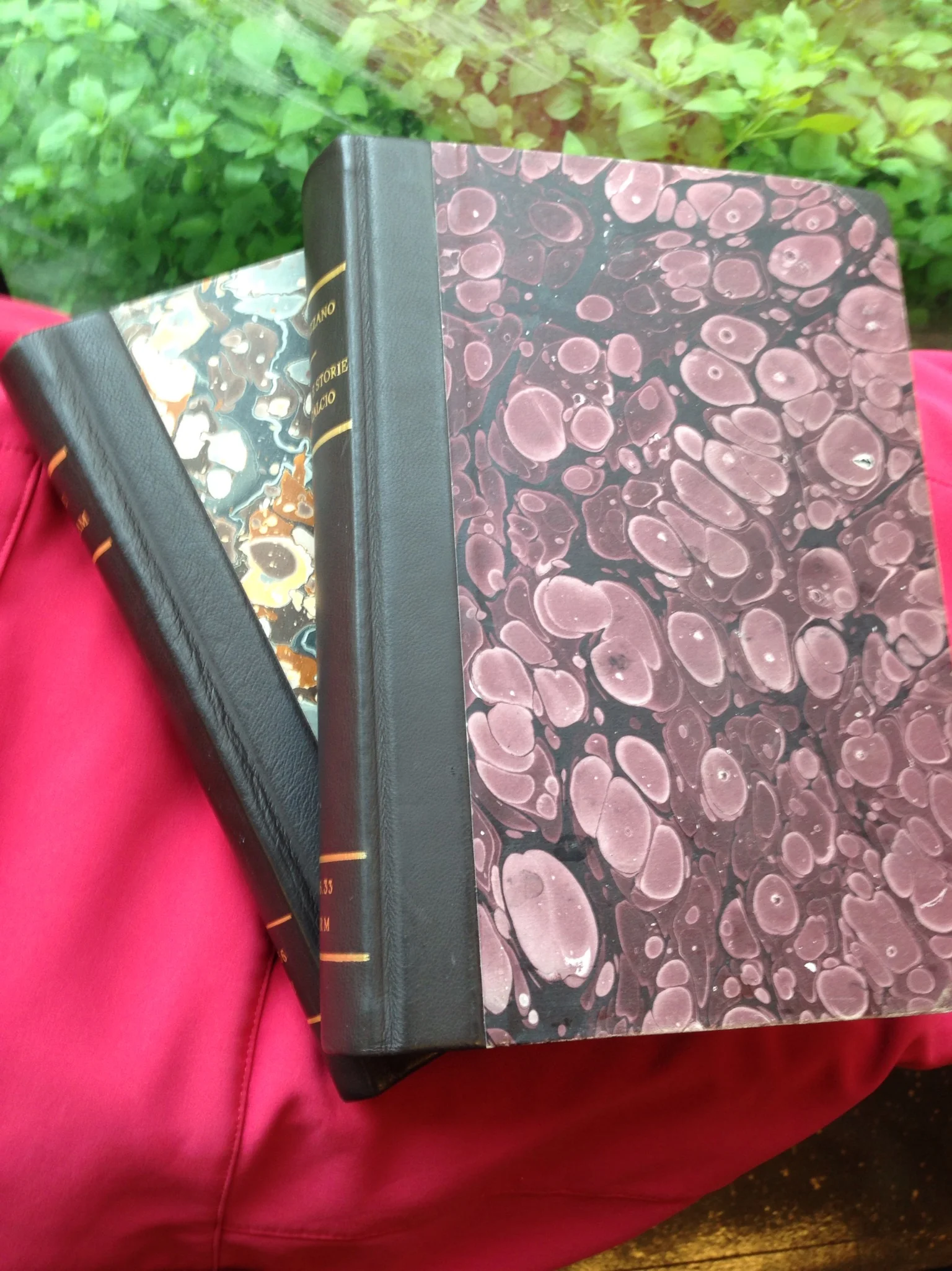 The following is a small sample of early 19th century books that Pietro rebound for the Turin Public Library.