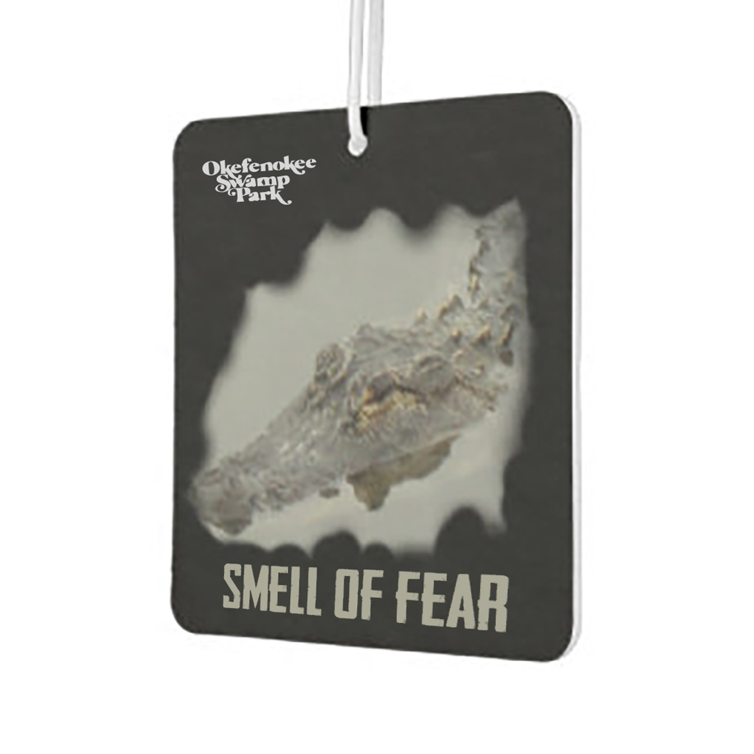 airfreshner.jpg