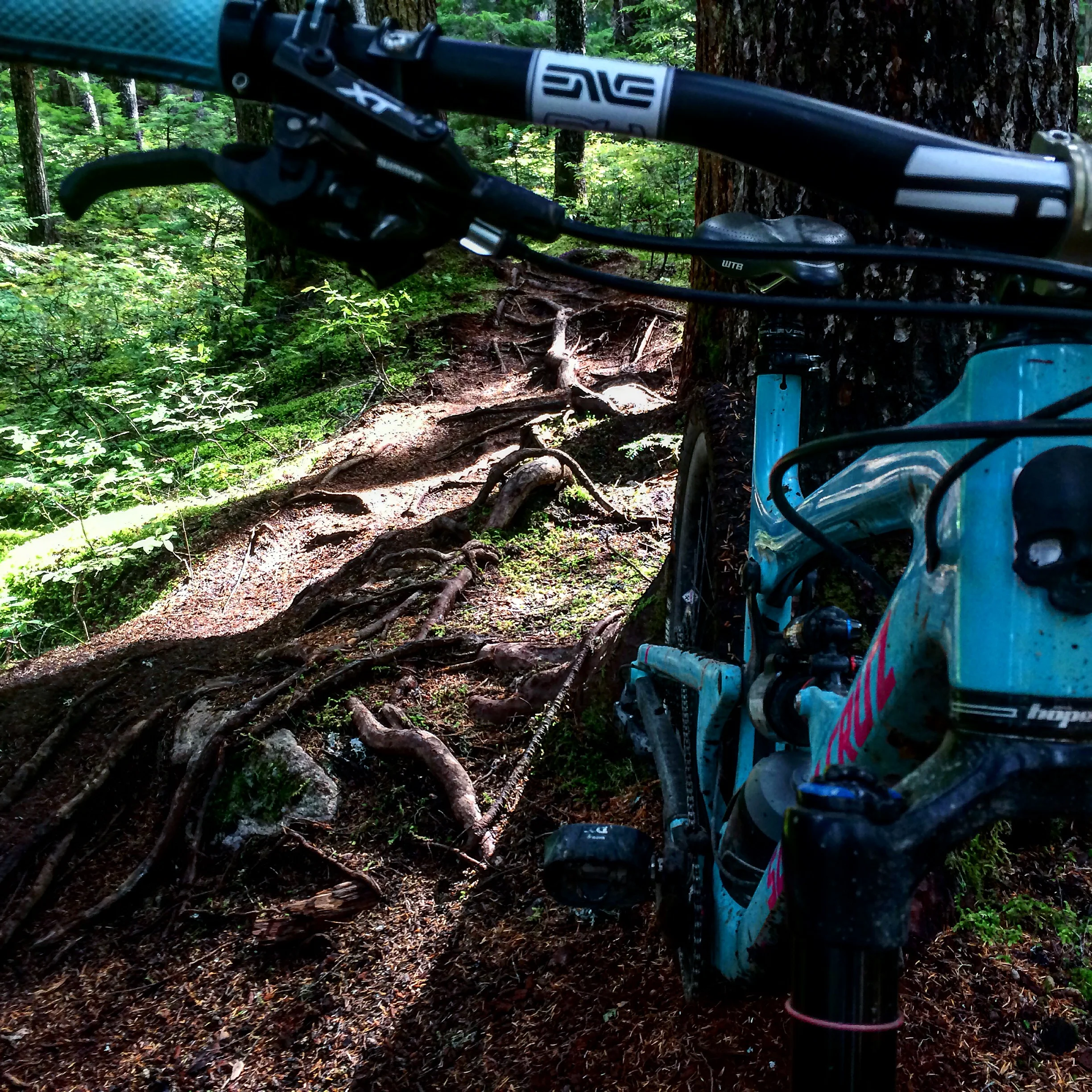  My Santa Cruz Nomad. Ride Don't Slide, Whistler B.C. photo : therodfather